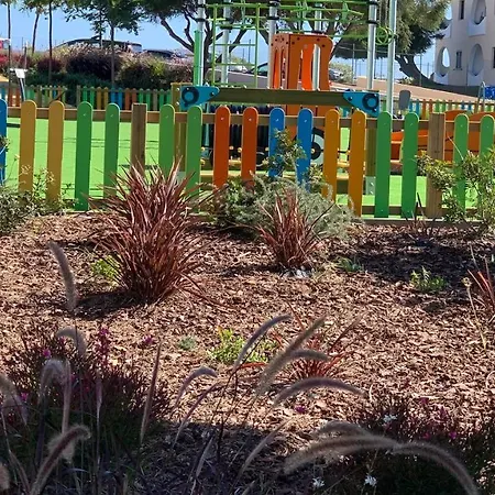 Limoes 카르보에이루